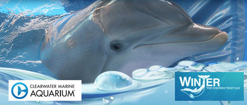 Clearwater Aquarium